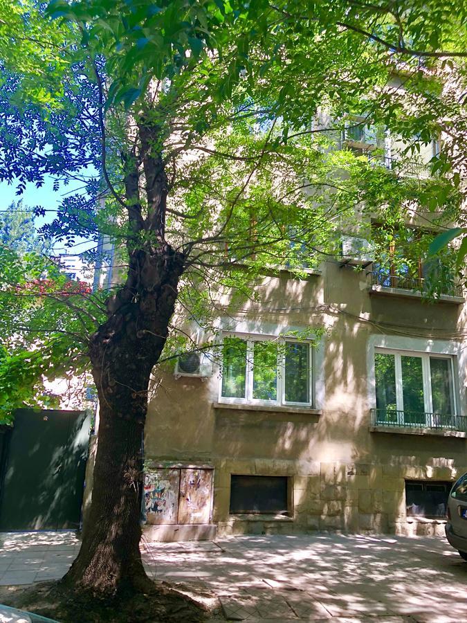 Madrid 2Bdr W Free Parking Near Metro, Serdika Mall 소피아 외부 사진